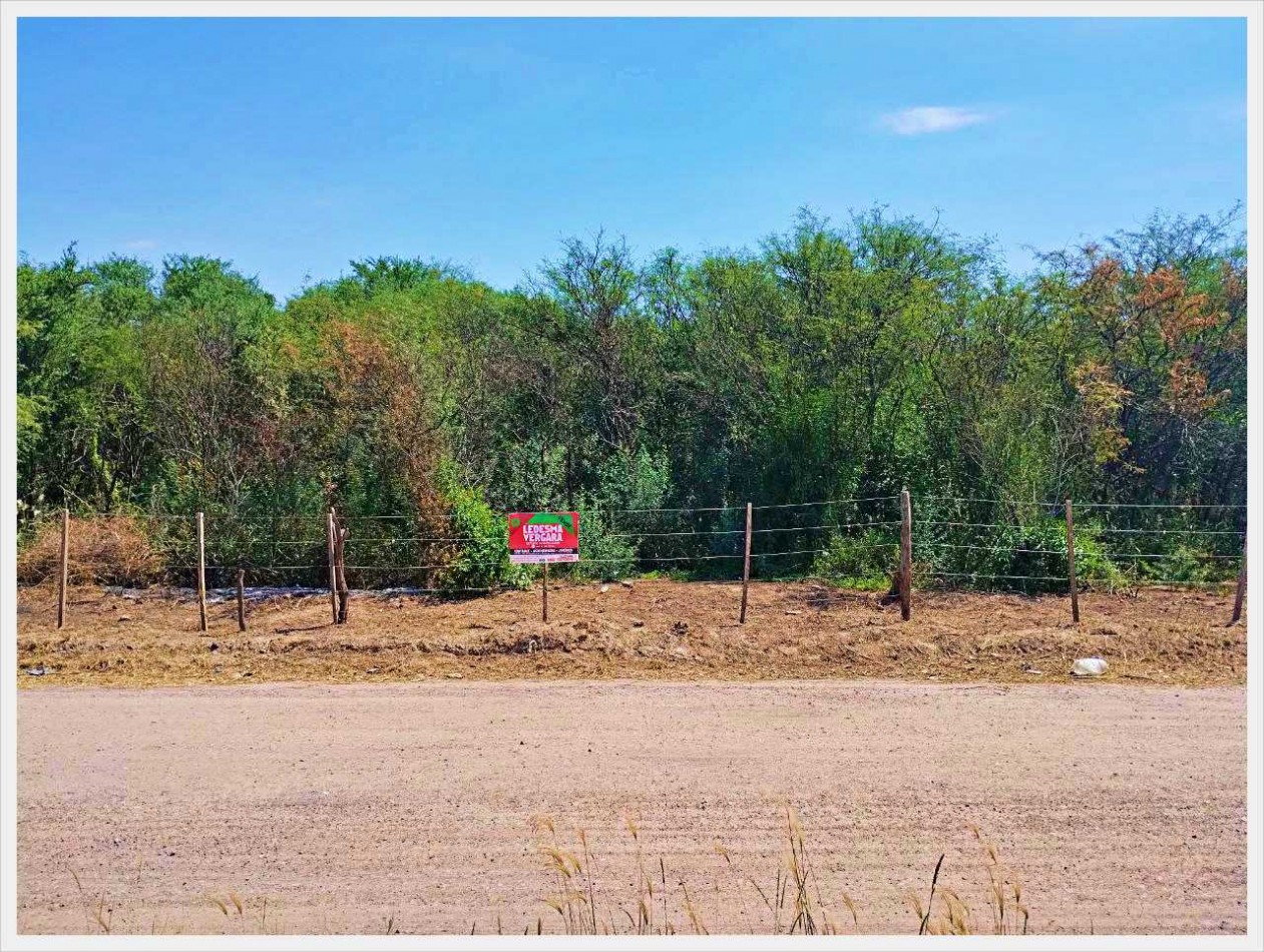 (VENDIDO) Lote de Terreno en MACO