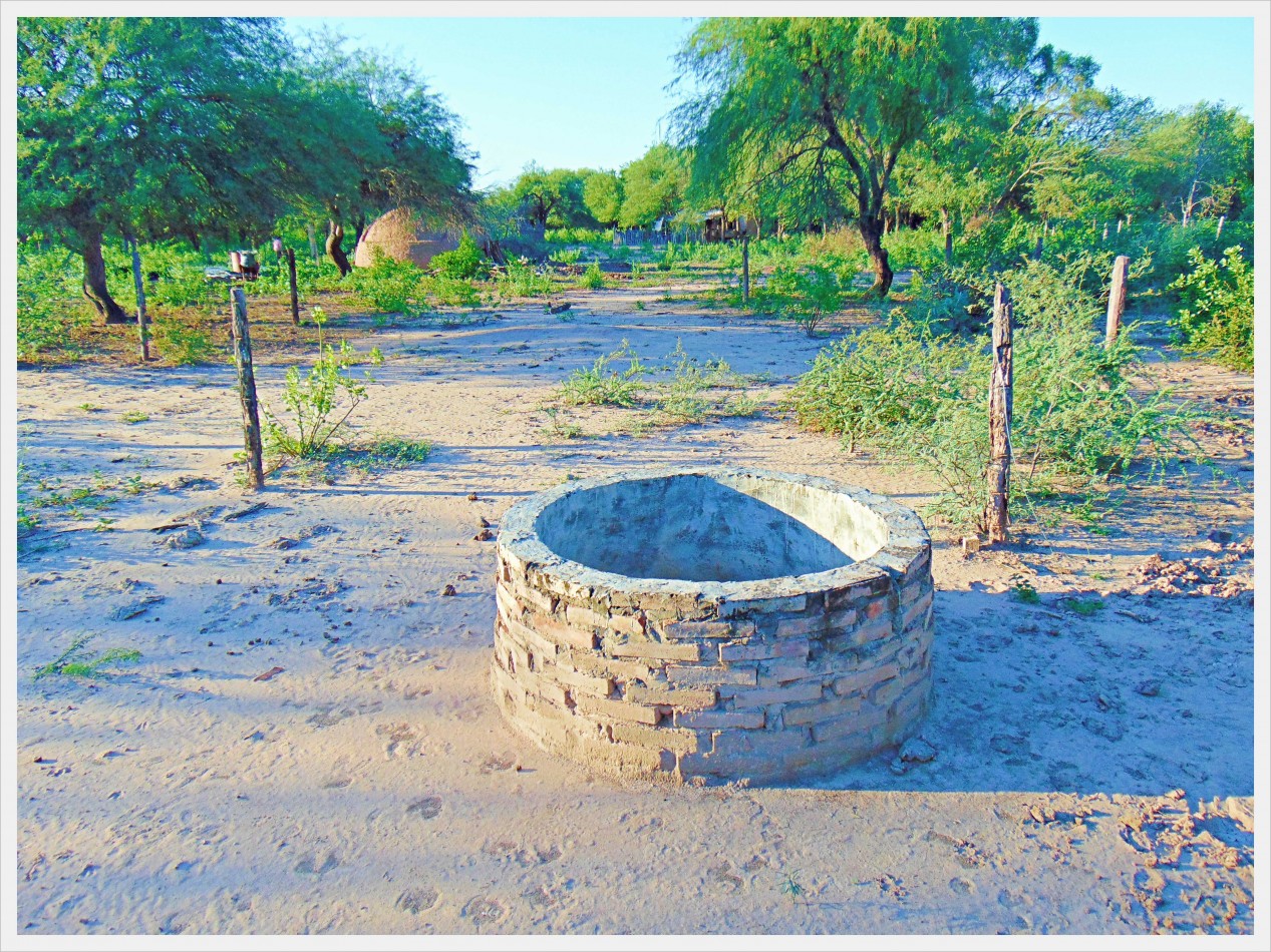 Campo GANADERO