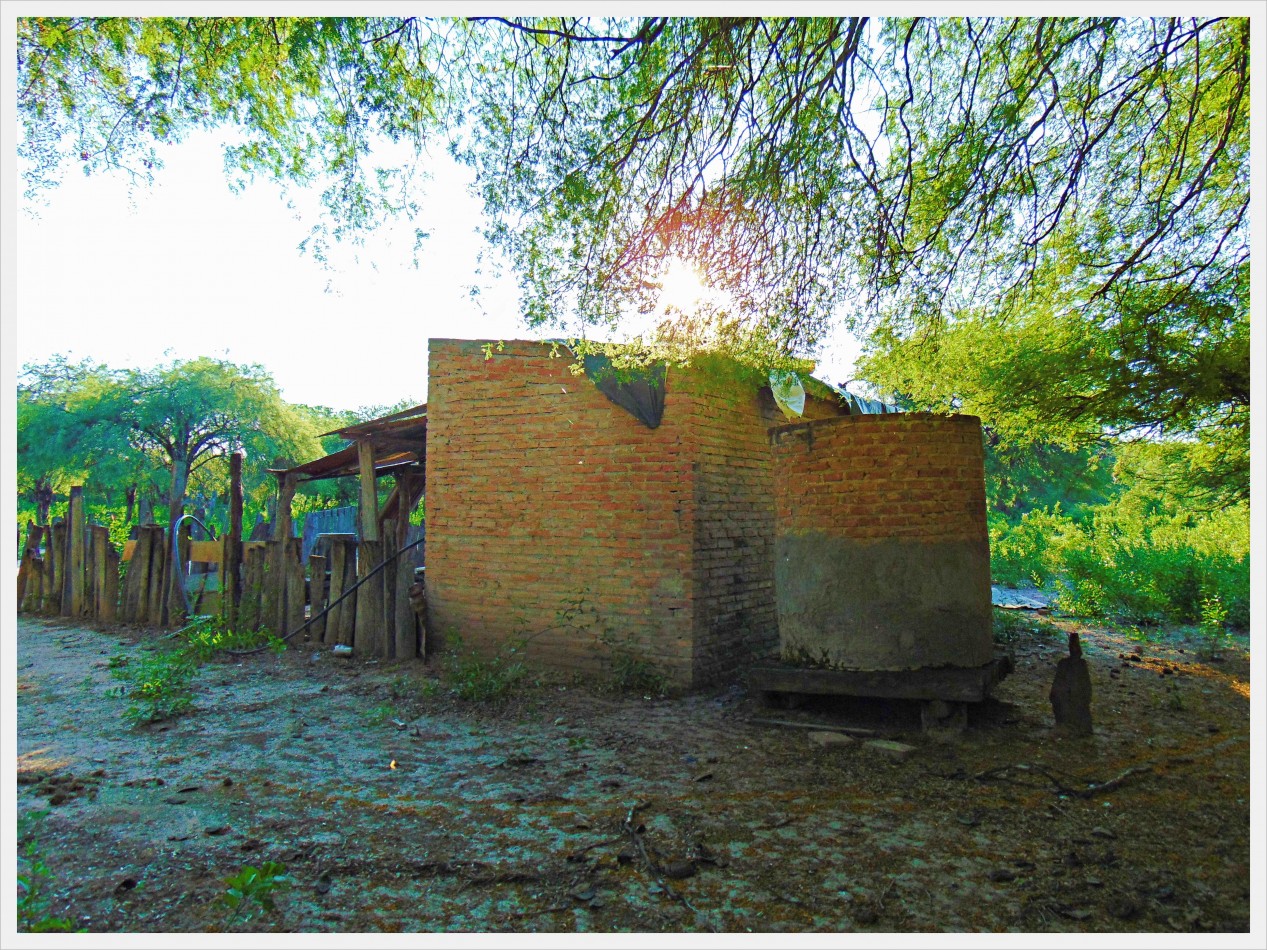 Campo GANADERO