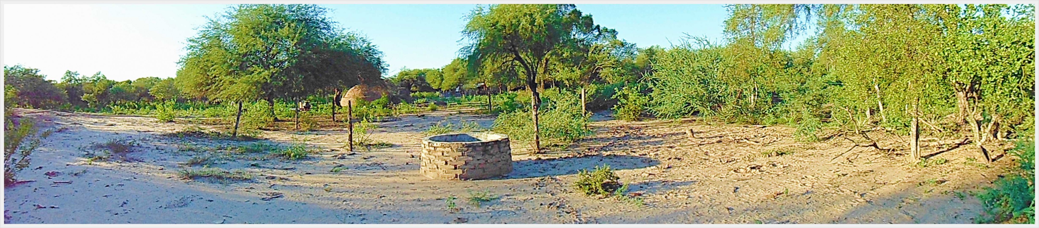 Campo GANADERO
