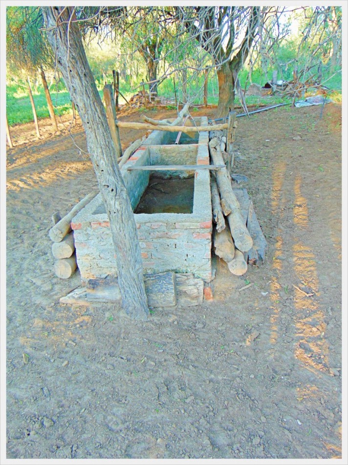 Campo GANADERO
