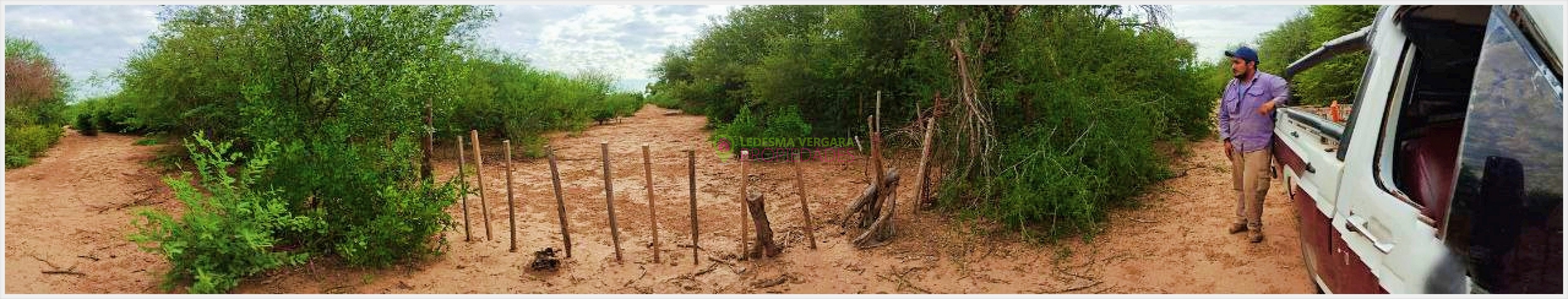 Campito en VENTA - 32HA