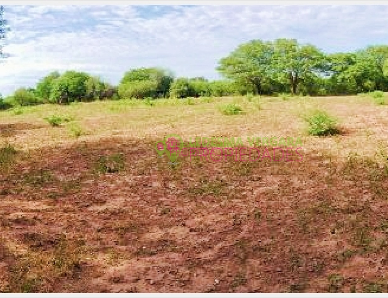 Campito en VENTA - 32HA