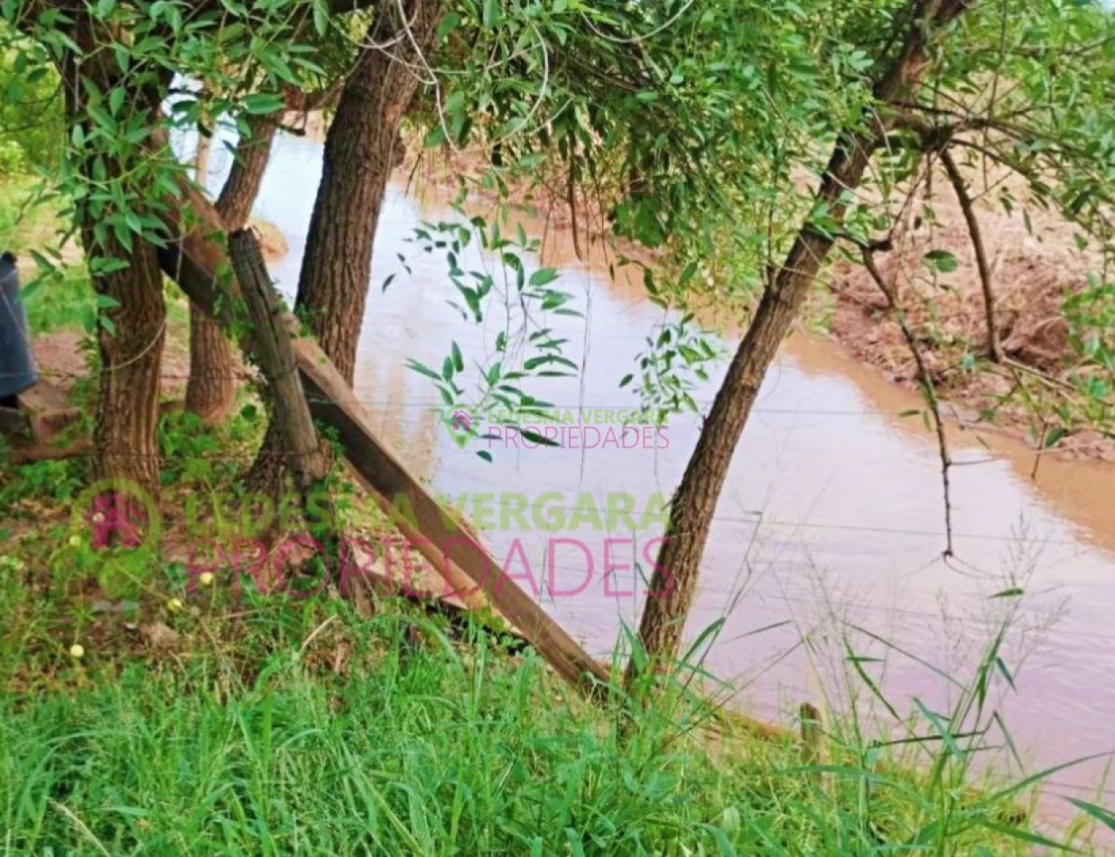 Campito en VENTA - 32HA
