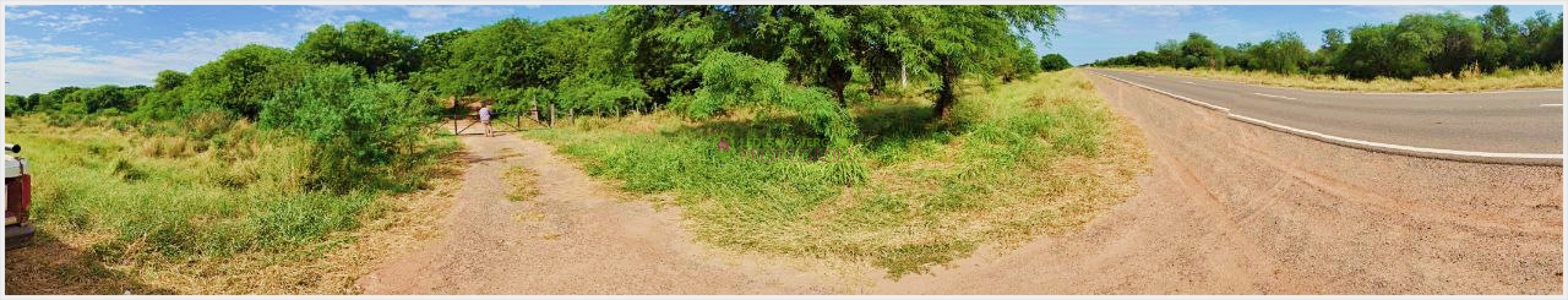 Campito en VENTA - 32HA