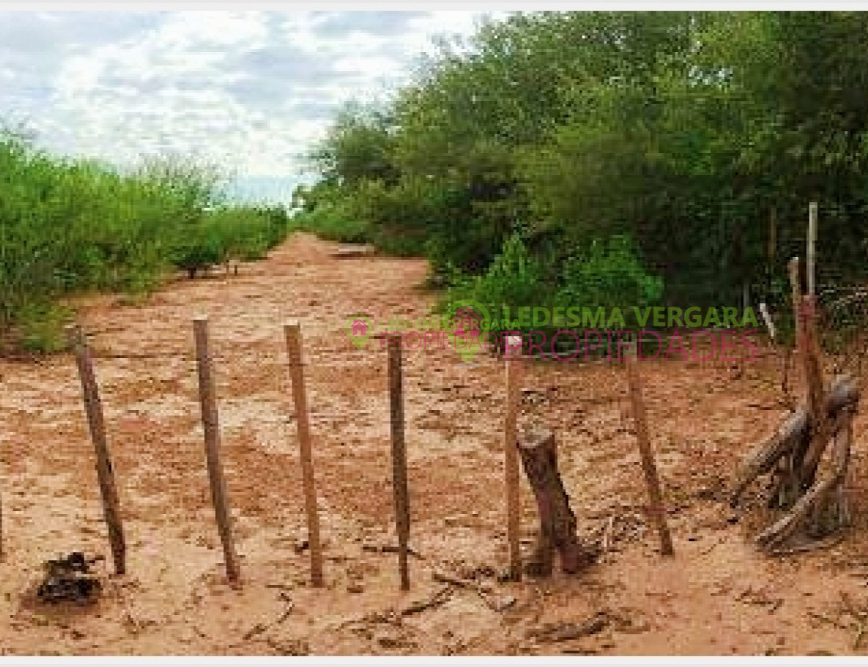 Campito en VENTA - 32HA