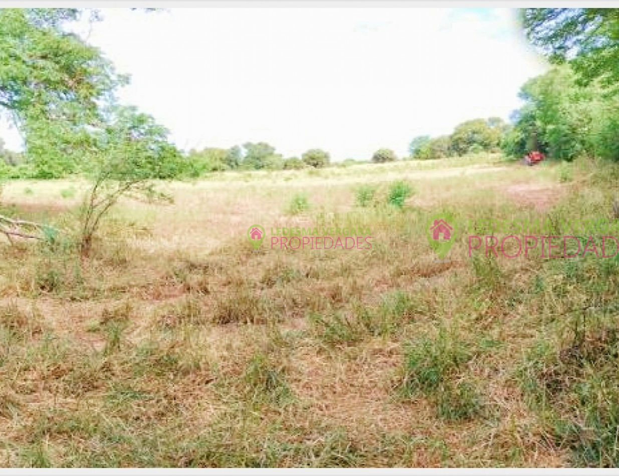 Campito en VENTA - 32HA