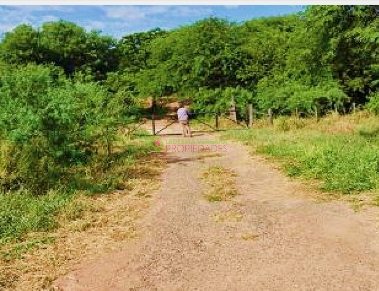 Campito en VENTA - 32HA