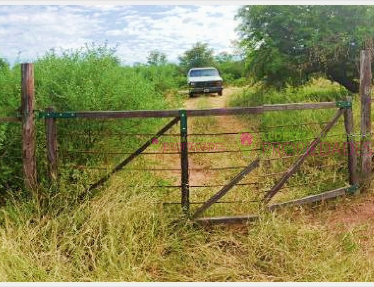 Campito en VENTA - 32HA