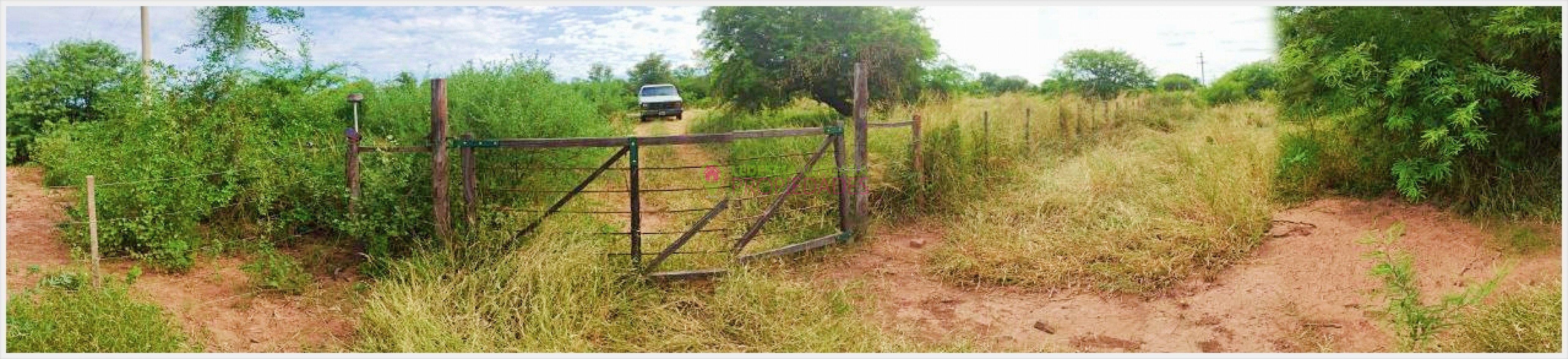 Campito en VENTA - 32HA