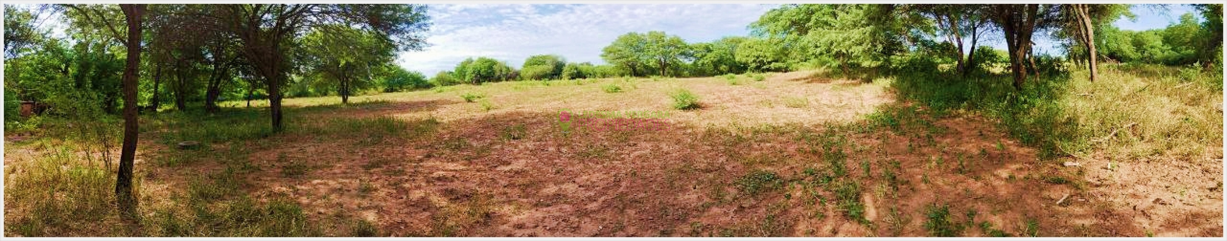 Campito en VENTA - 32HA