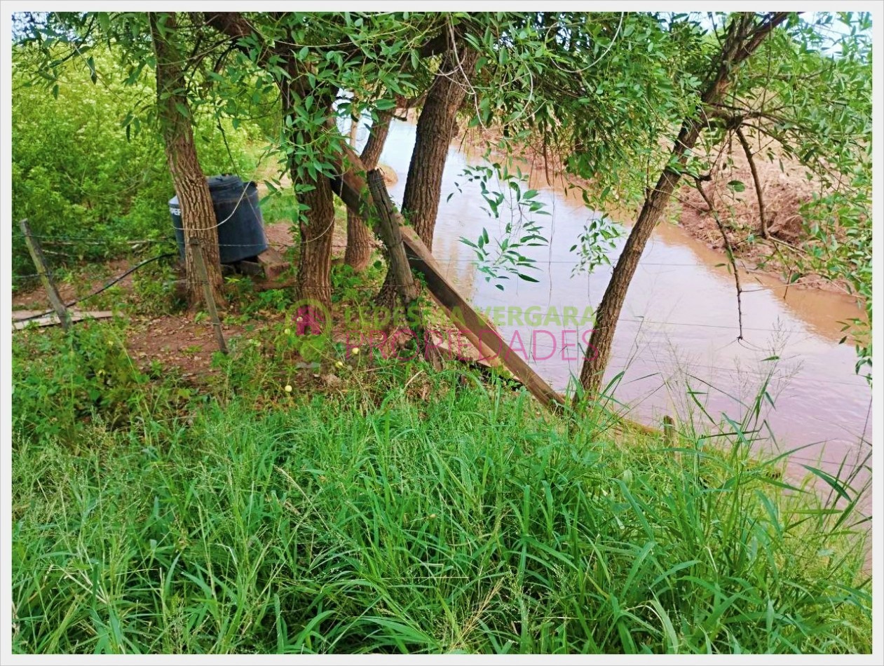 Campito en VENTA - 32HA