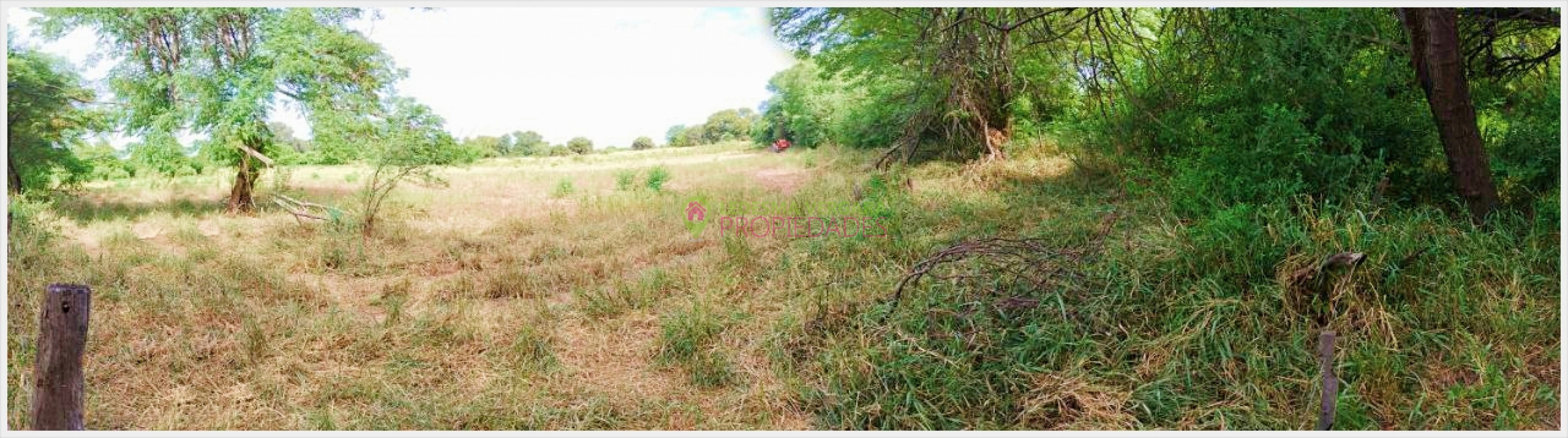 Campito en VENTA - 32HA