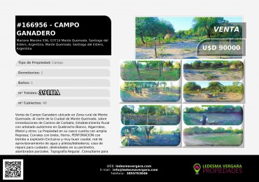 Campo GANADERO
