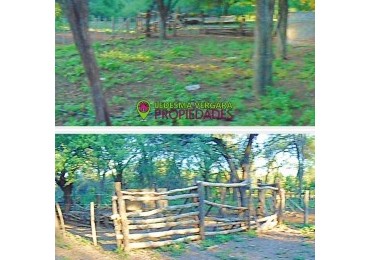 Campo GANADERO