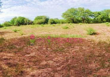 Campito en VENTA - 32HA