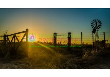 Campito en VENTA - 32HA