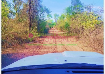 VENTA 543HA - Rurales