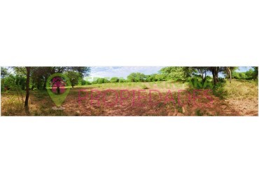 Campito en VENTA - 32HA